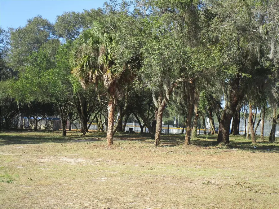 6718 N Rome Avenue, Tampa, FL 33604 - #3