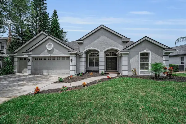 4084 Ligustrum Drive, PALM HARBOR, FL 34685
