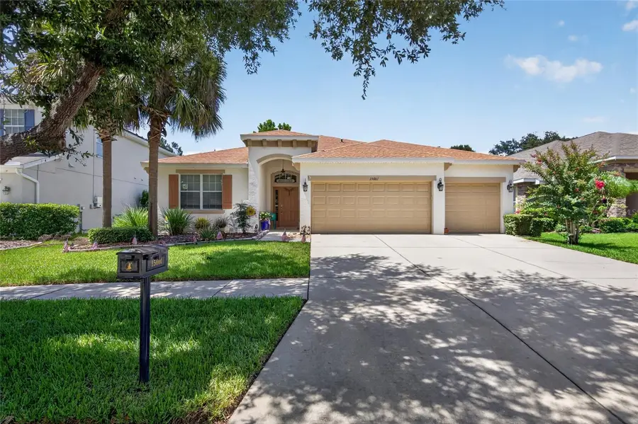 15601 Starling Water Drive, Lithia, FL 33547 - #2