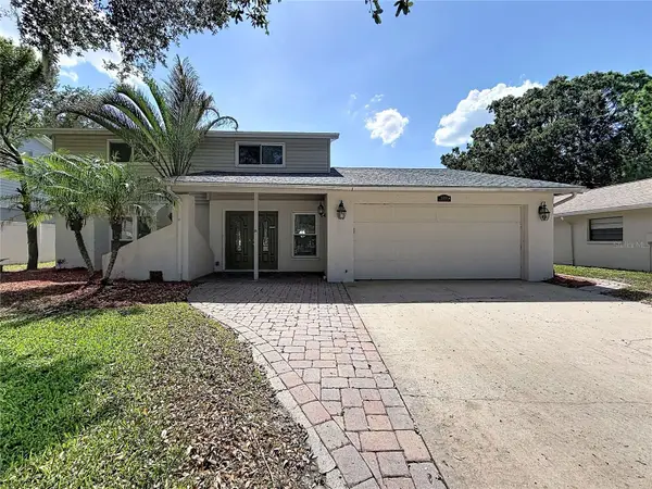 15708 Woodcock Place, TAMPA, FL 33624