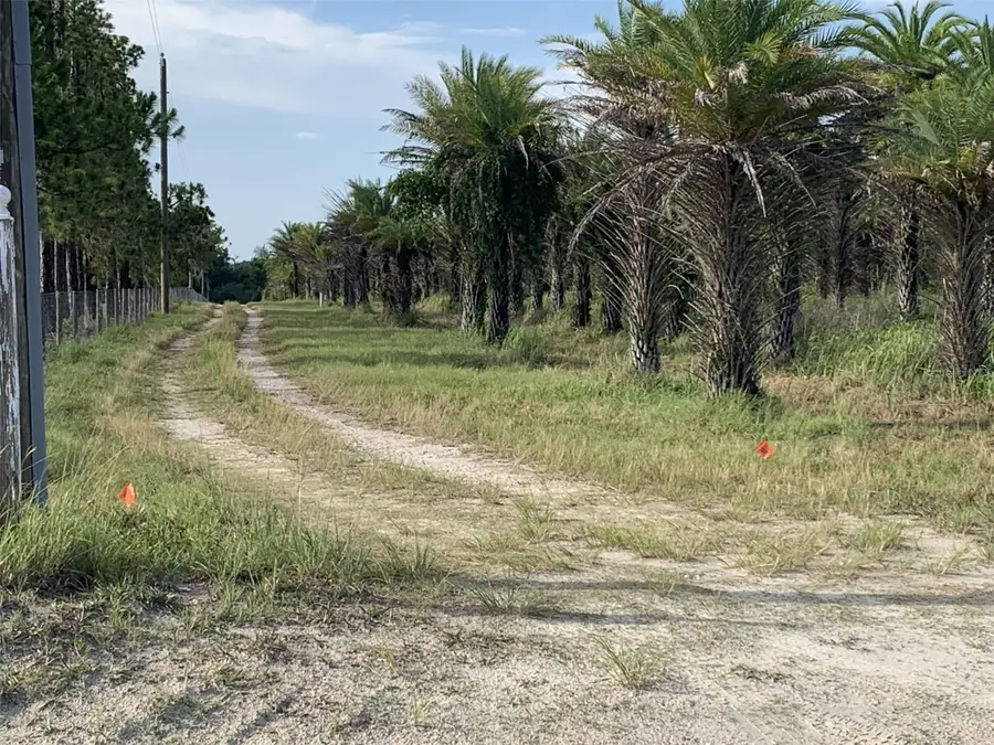 Dan Brown Hill Road #Lot 1, Brooksville, FL 34602 - #2