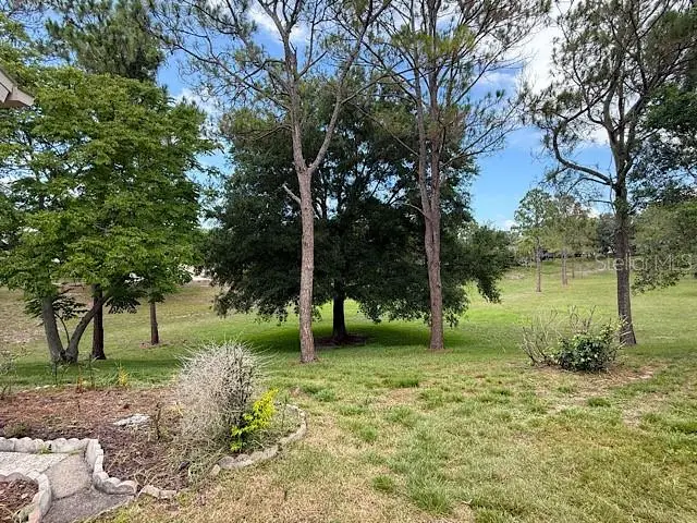 2232 Springmeadow Drive, Spring Hill, FL 34606 - #3