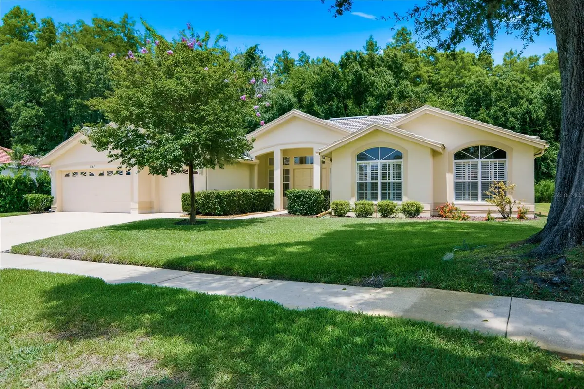 3187 Sterling Street, Tarpon Springs, FL 34688 - #1