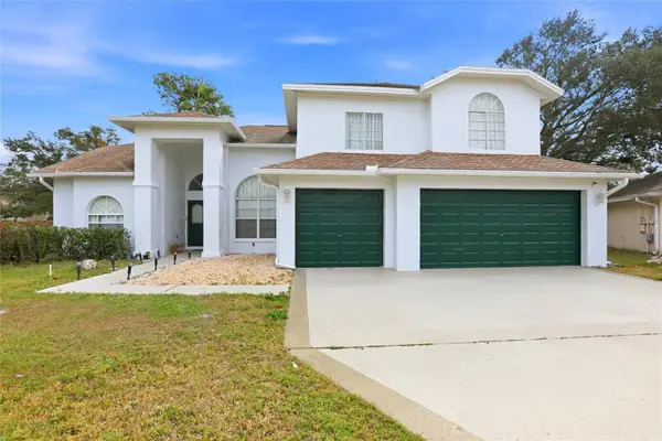 10402 Ashley Oaks Drive, RIVERVIEW, FL 33578