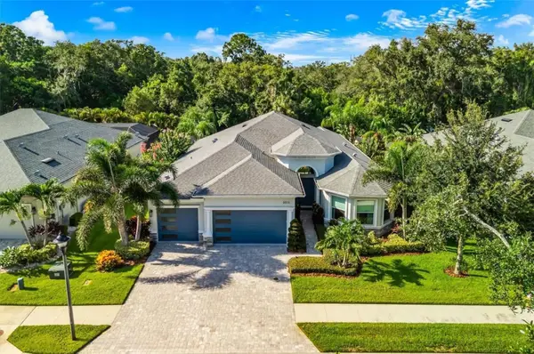 2013 Bee Branch Court, PALM HARBOR, FL 34683