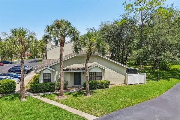 5100 Burchette Road #3107, TAMPA, FL 33647