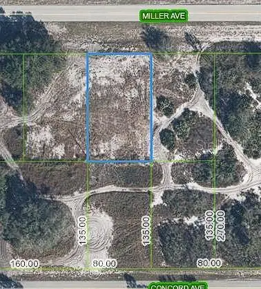 3112 Miller Avenue, Lake Placid, FL 33852 - #1
