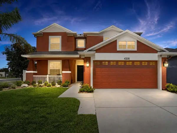 4205 Knob Lake Court, TAMPA, FL 33619