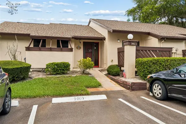 2903 Fig Court, PALM HARBOR, FL 34684