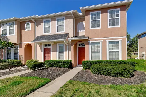 6919 Towering Spruce Dr, RIVERVIEW, FL 33578