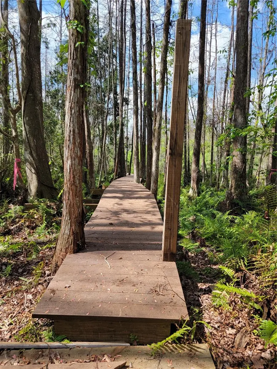 TBD Bell Lake Road, Land O Lakes, FL 34639 - #3