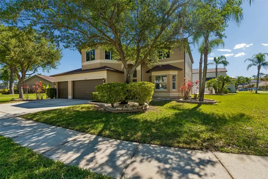 12507 Ashdown Drive, Odessa, FL 33556 - #2