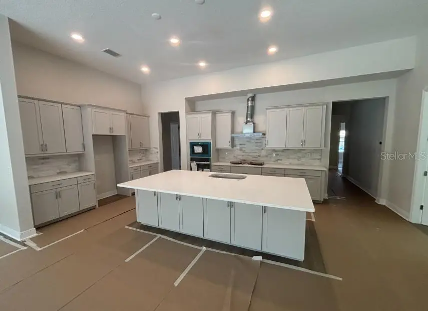 15082 Rider Pass Drive, Lithia, FL 33547 - #3