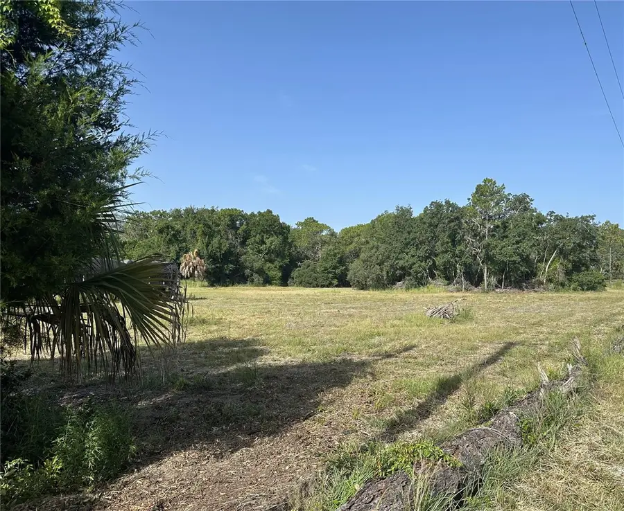 11360 S Florida Avenue, Floral City, FL 34436 - #2