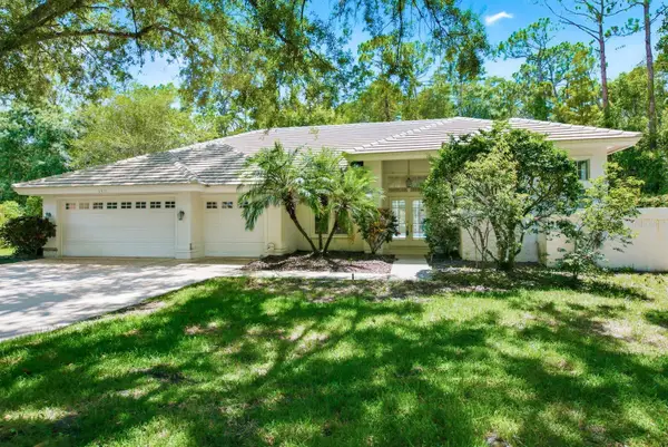 3951 Brightside Lane, PALM HARBOR, FL 34685