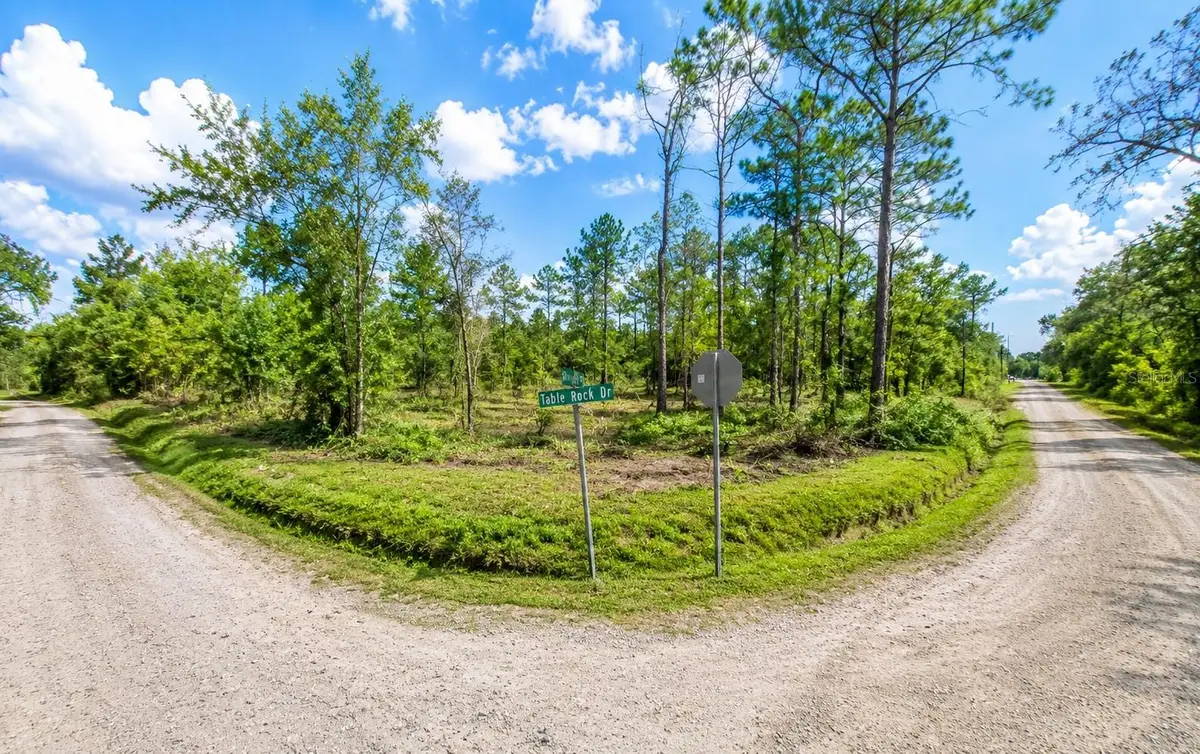 Millrock Street, Webster, FL 33597 - #1