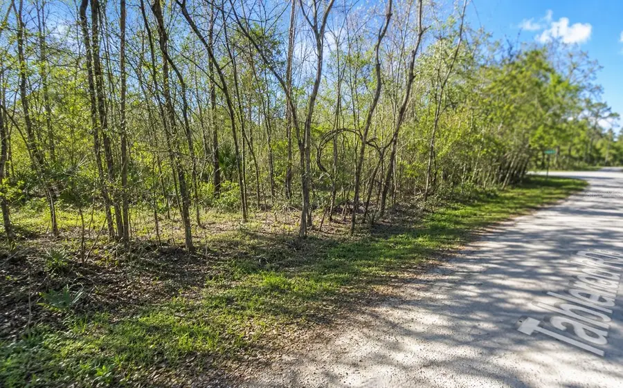 Millrock Street, Webster, FL 33597 - #3