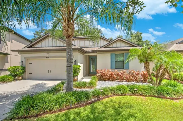 842 Vino Verde Circle, BRANDON, FL 33511