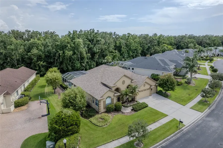 26920 Winged Elm Drive, Wesley Chapel, FL 33544 - #3