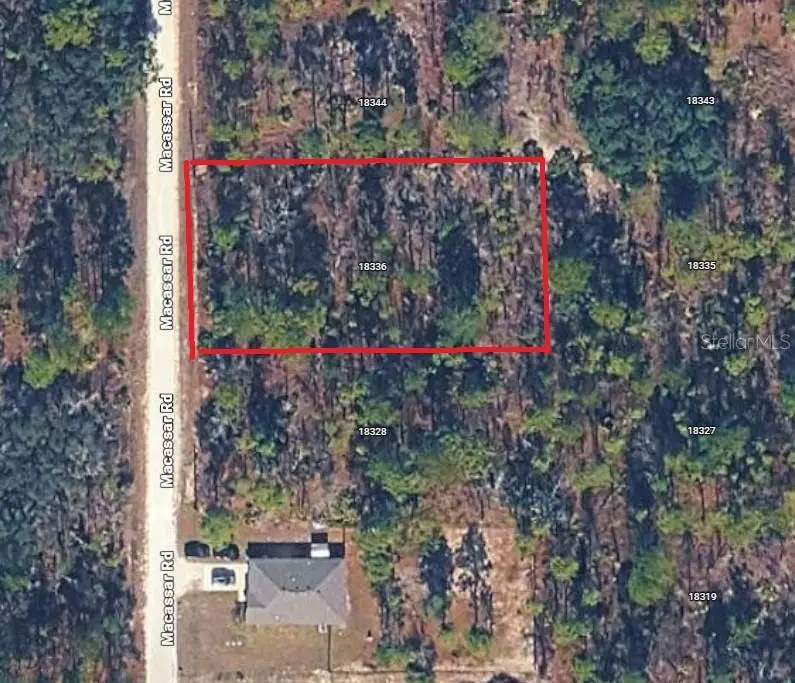 18336 Macassar Road, Weeki Wachee, FL 34614 - #1
