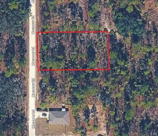 18336 Macassar Road, WEEKI WACHEE, FL 34614