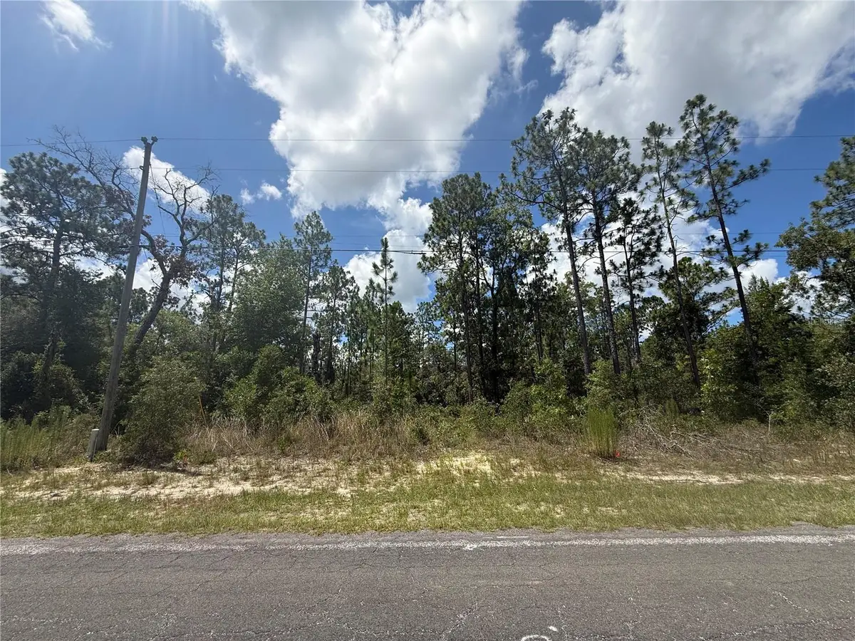 2812 W Edison Place, Citrus Springs, FL 34433 - #1