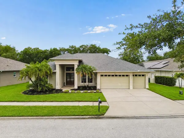 911 Wyngate Court, SAFETY HARBOR, FL 34695
