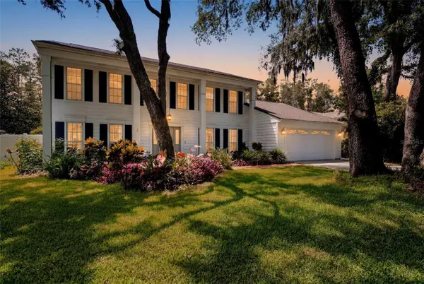 16909 Rolling Rock Drive, TAMPA, FL 33618