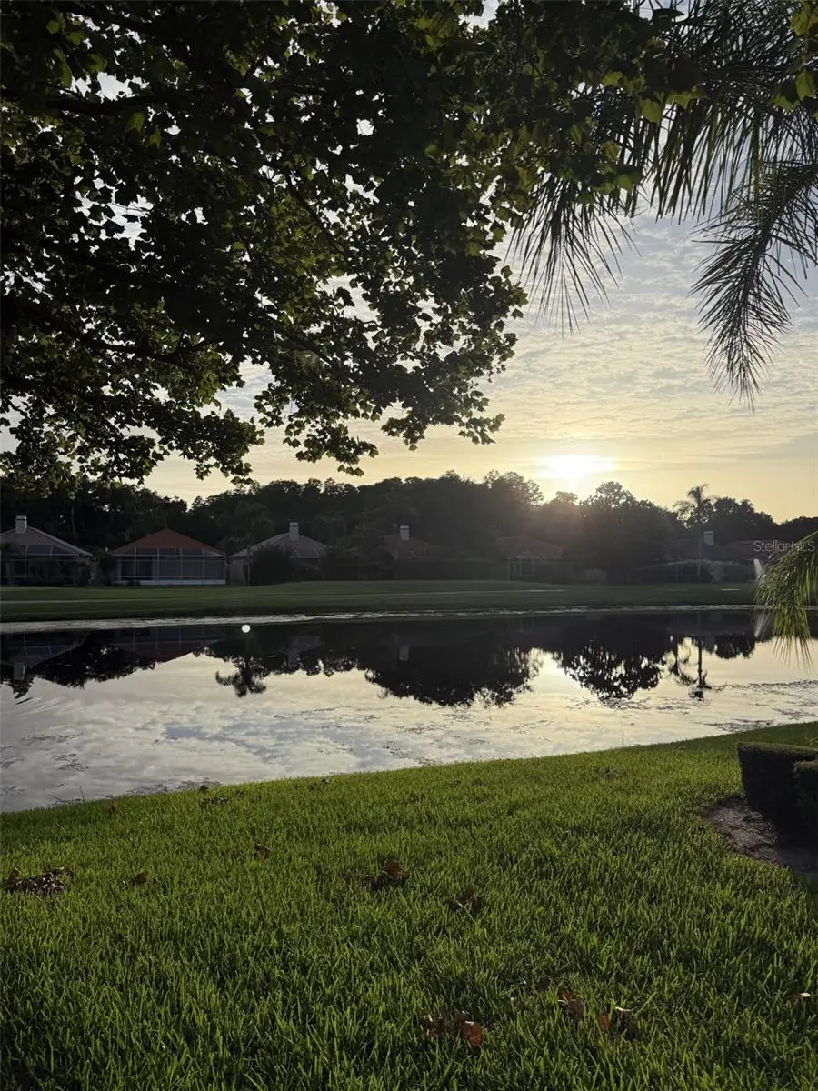 1338 Dartford Drive, Tarpon Springs, FL 34688 - #2