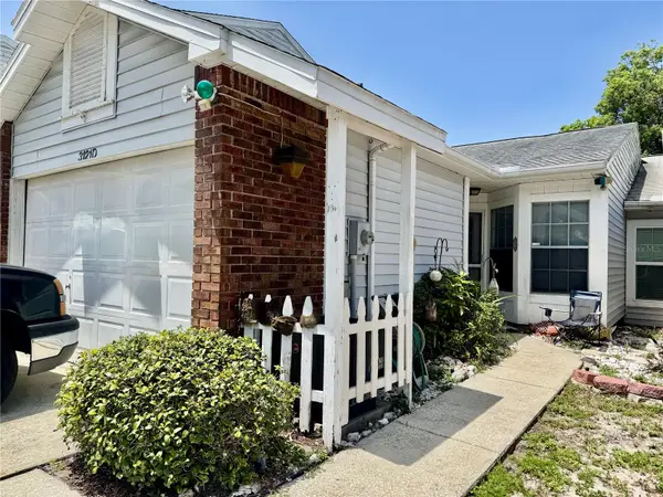 3121 Beecher Drive E #D, PALM HARBOR, FL 34683