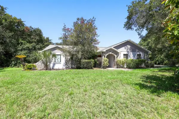 10028 Kenda Drive, RIVERVIEW, FL 33578