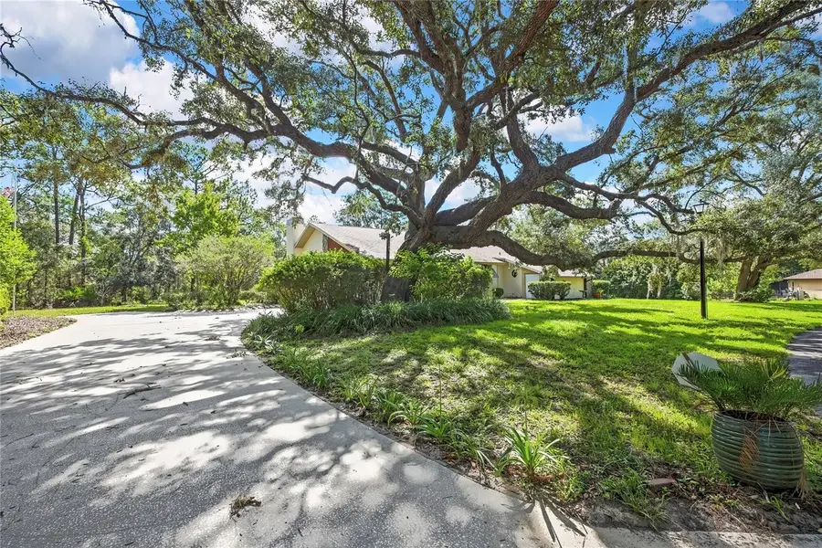 12 Mayflower Court E, Homosassa, FL 34446 - #2