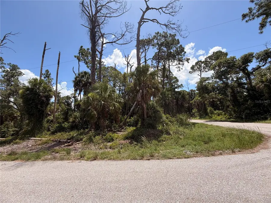 17392 Orion Avenue, Port Charlotte, FL 33954 - #3