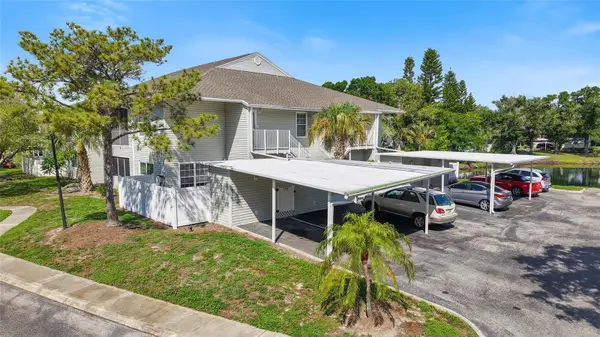 8350 Savannah Trace Circle #1703, TAMPA, FL 33615