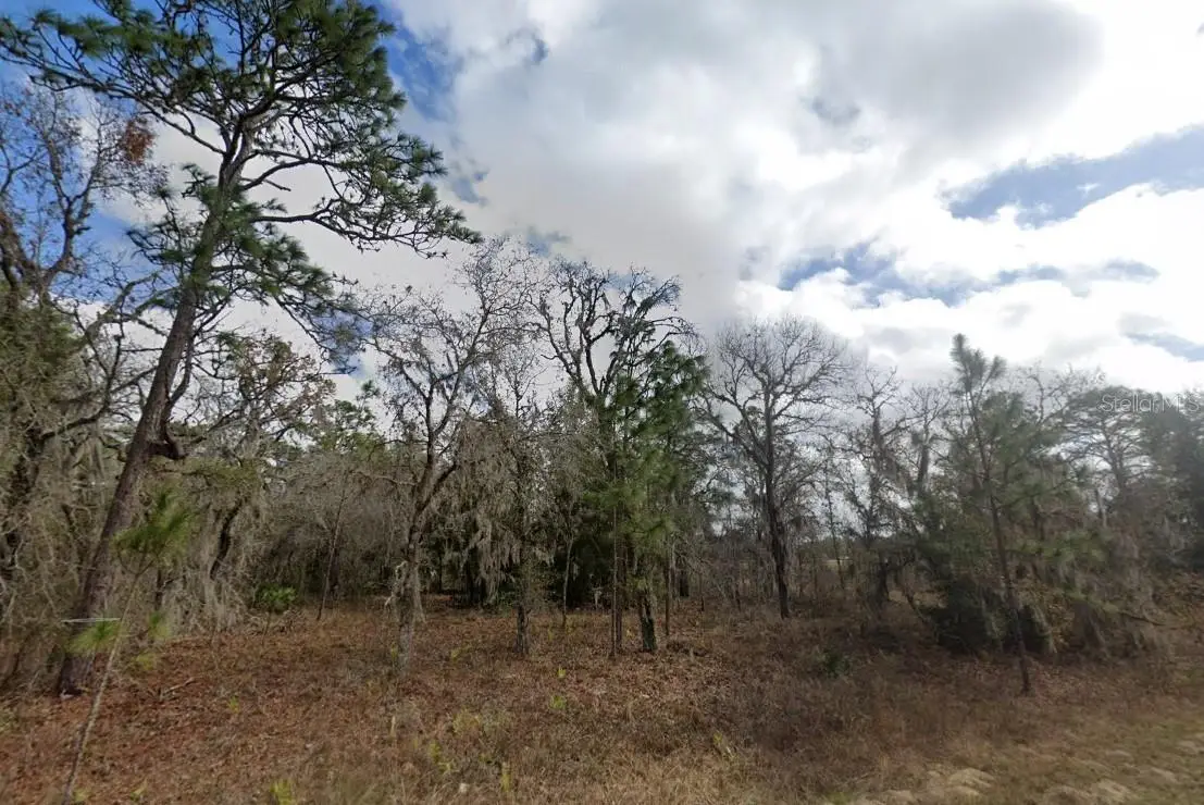 Crider Road, Weeki Wachee, FL 34614 - #1
