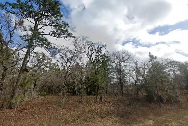 Crider Road, WEEKI WACHEE, FL 34614
