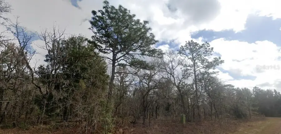 Crider Road, Weeki Wachee, FL 34614 - #2