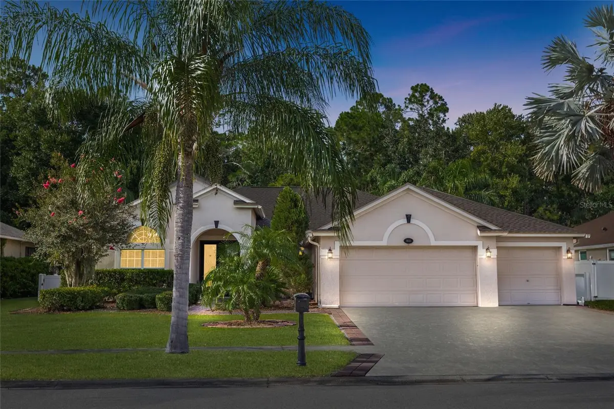 16132 Ivy Lake Drive, Odessa, FL 33556 - #1