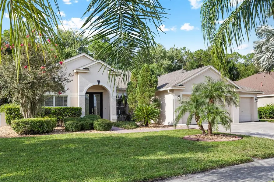 16132 Ivy Lake Drive, Odessa, FL 33556 - #2