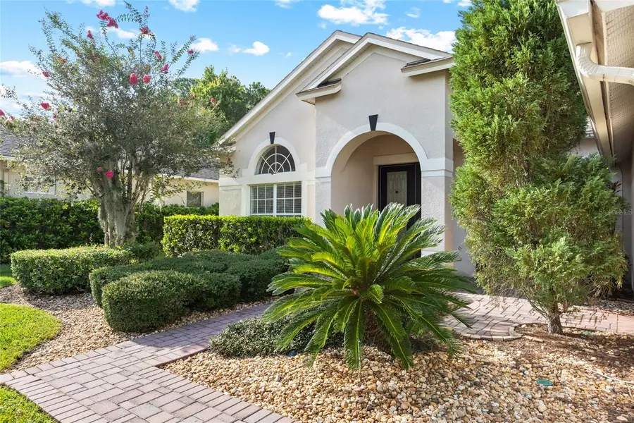 16132 Ivy Lake Drive, Odessa, FL 33556 - #3