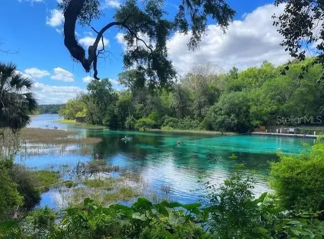 20260 SW 80th Place Road, Dunnellon, FL 34431 - #3