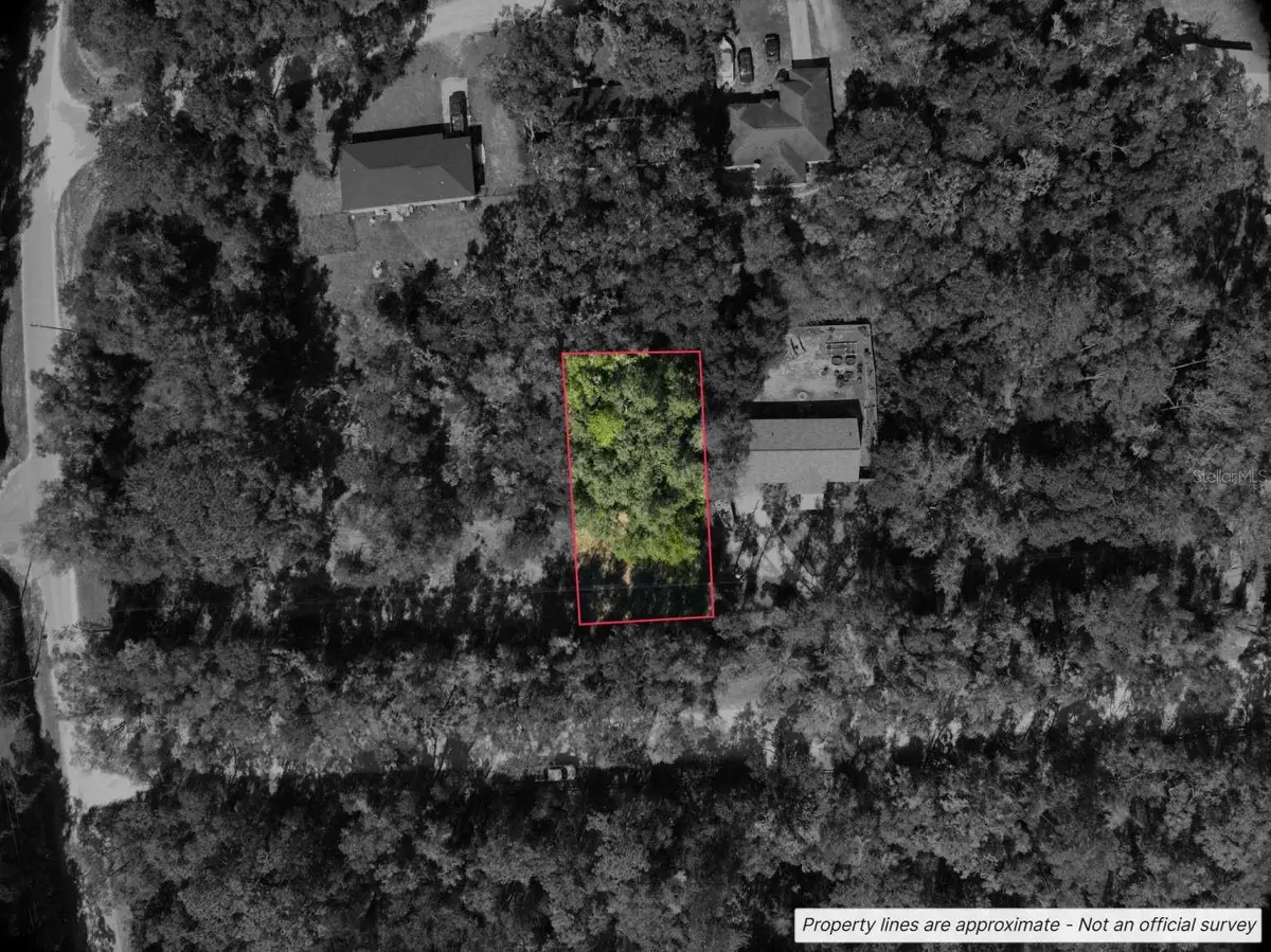 Lot #1 St Patrick Drive, Dunnellon, FL 34432 - #1