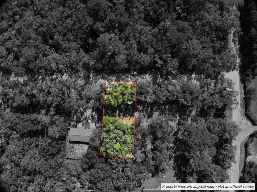 Lot #1 St Patrick Drive, Dunnellon, FL 34432 - #2