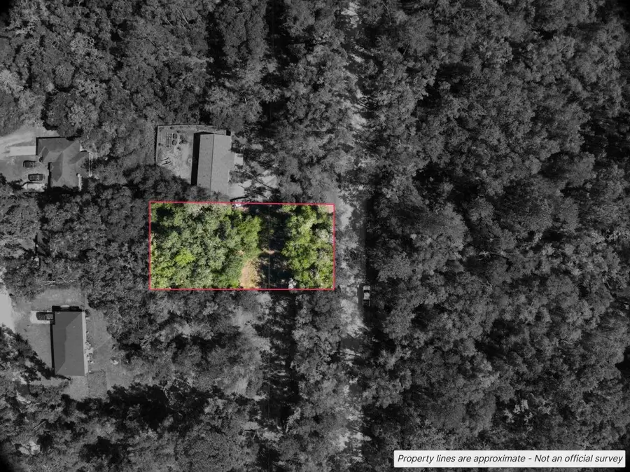 Lot #1 St Patrick Drive, Dunnellon, FL 34432 - #3