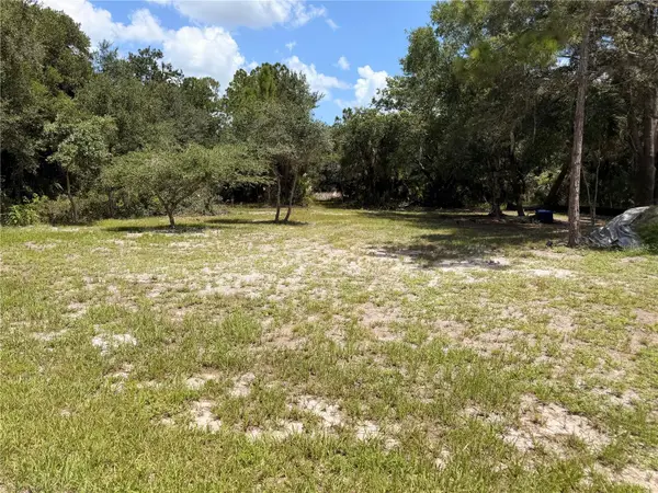 19128 Willard Avenue, PORT CHARLOTTE, FL 33954