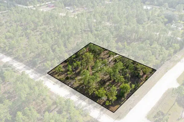 0000 NE 132 Terrace Lot 1 Terrace, WILLISTON, FL 32696