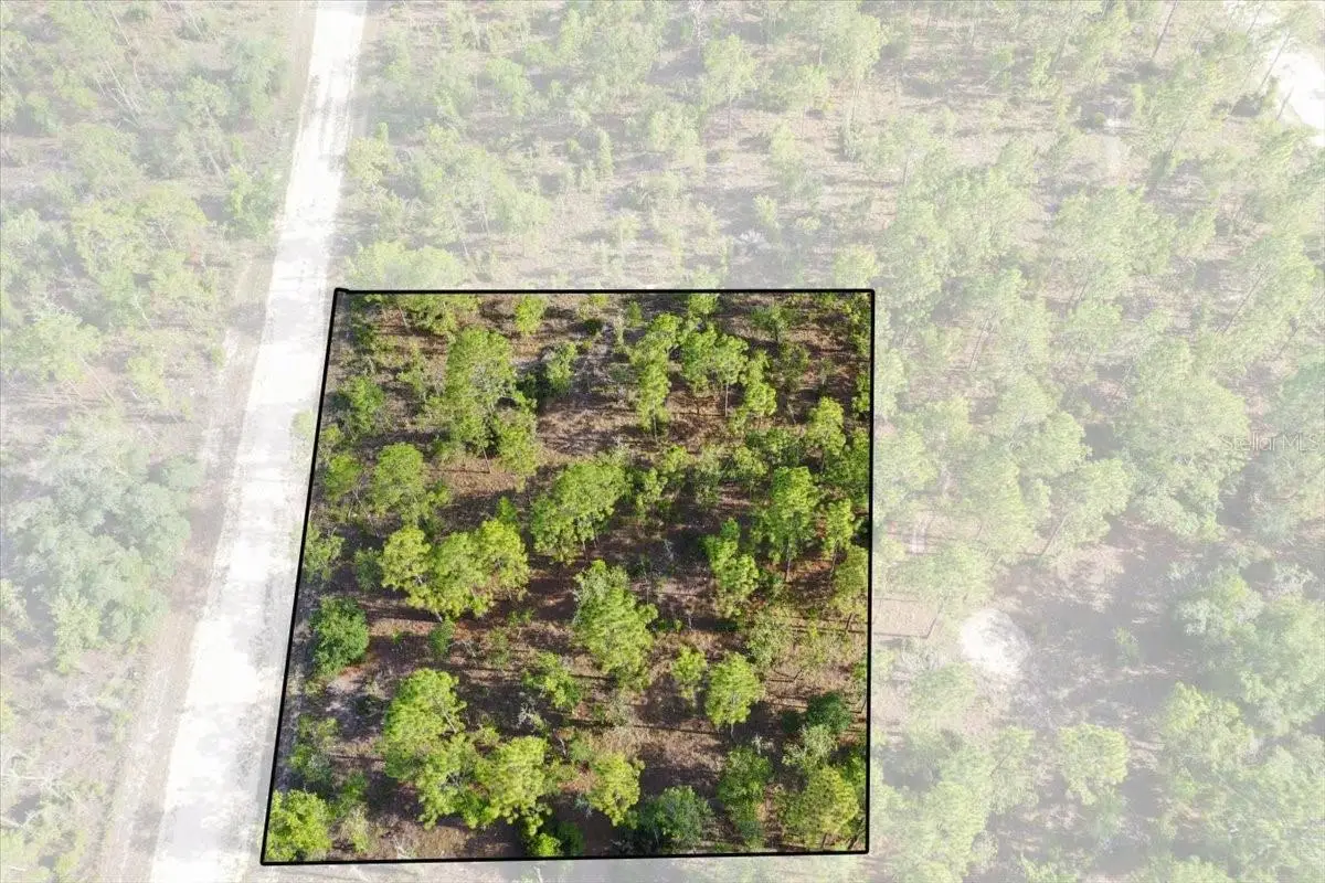 0000 NE 132 Terrace Lot 2 Terrace, Williston, FL 32696 - #1