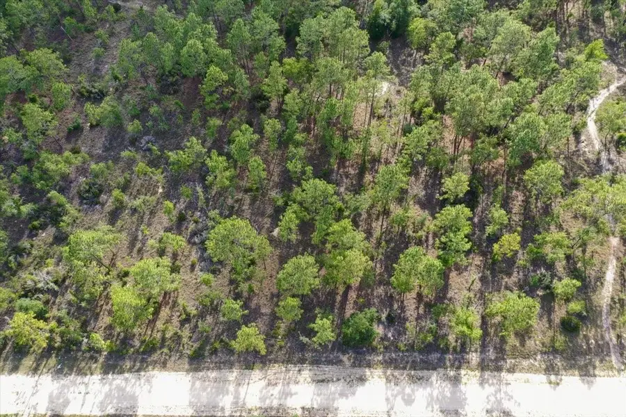 0000 NE 132 Terrace Lot 2 Terrace, Williston, FL 32696 - #2