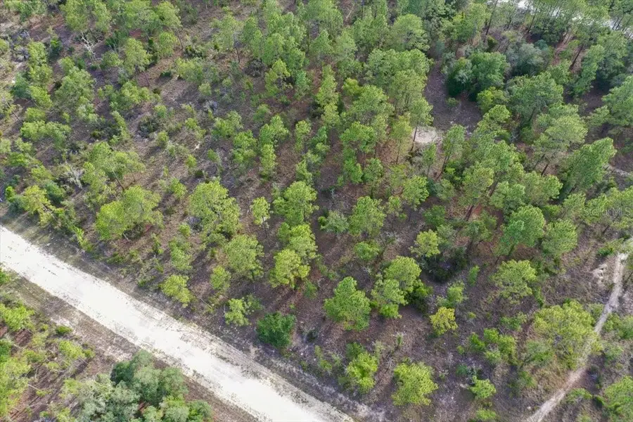 0000 NE 132 Terrace Lot 2 Terrace, Williston, FL 32696 - #3
