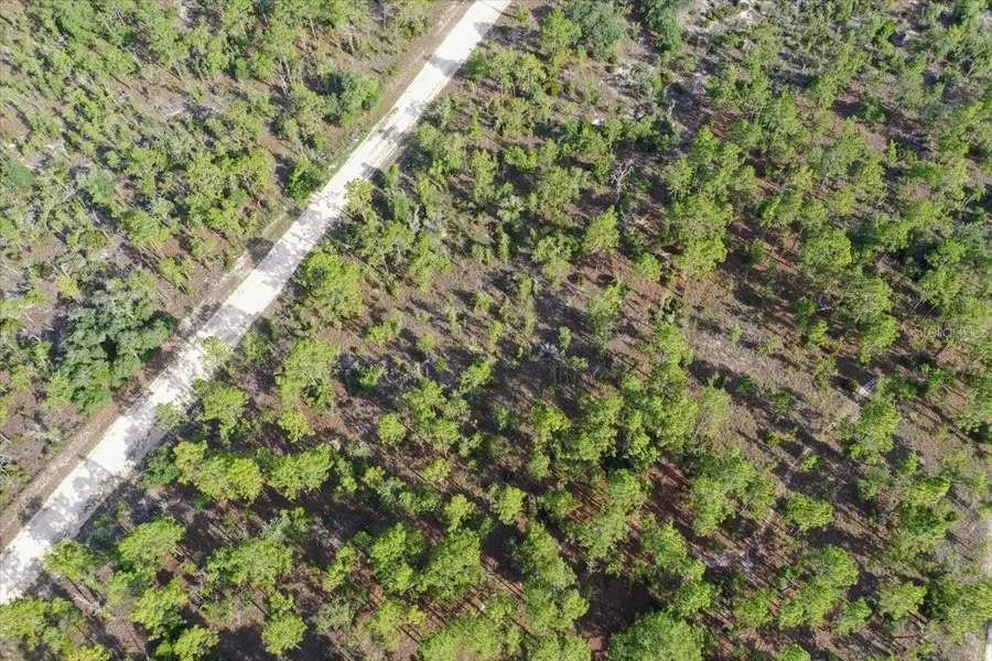 0000 NE 132 Terrace Lot 3 Terrace, Williston, FL 32696 - #3
